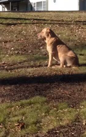 Leonard Springs Nature Trail Parking Lot - Bloomington, IN