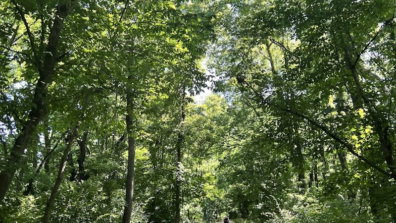 Limestone greenway - Bloomington, IN