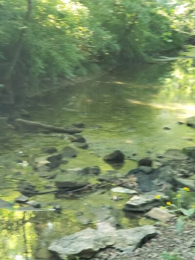 Limestone greenway - Bloomington, IN