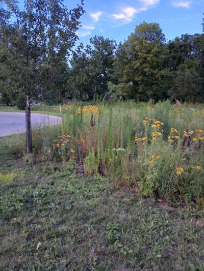 Switchyard Park - Bloomington, IN