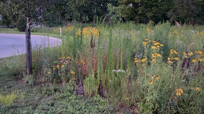 Switchyard Park - Bloomington, IN