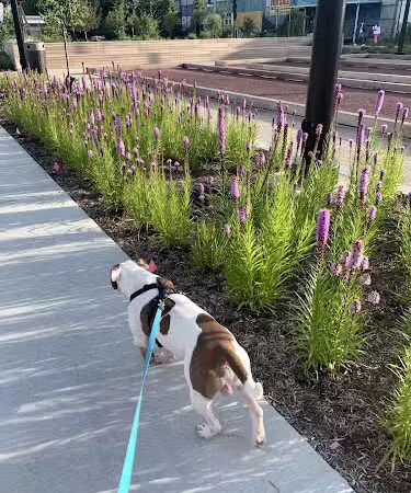 Switchyard Park - Bloomington, IN