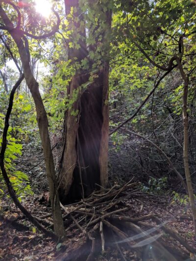 Winslow Nature Trail - Bloomington, IN
