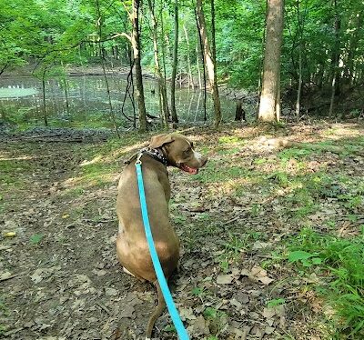Winslow Nature Trail - Bloomington, IN