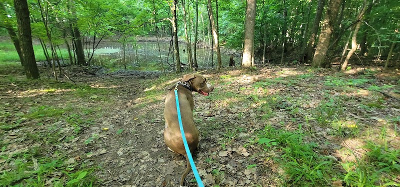 Winslow Nature Trail - Bloomington, IN