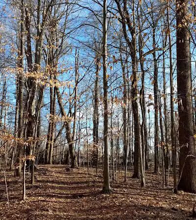 Winslow Nature Trail - Bloomington, IN