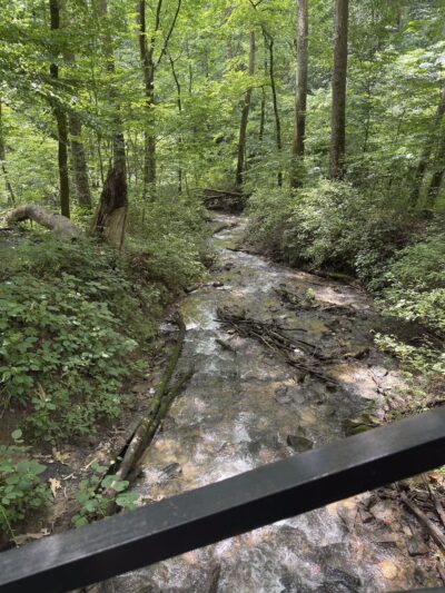 Leonard Springs Nature Park - Bloomington, IN