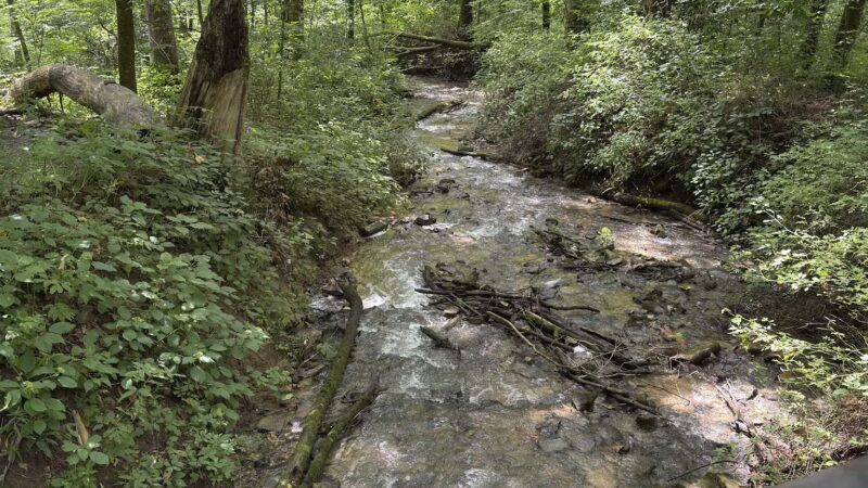 Leonard Springs Nature Park - Bloomington, IN