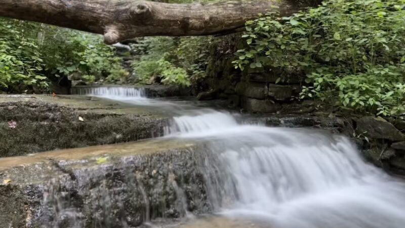 Leonard Springs Nature Park Rest Area - Bloomington, IN