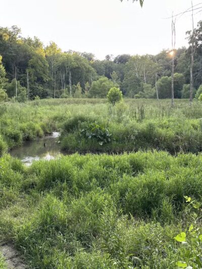 Leonard Springs Nature Park Rest Area - Bloomington, IN