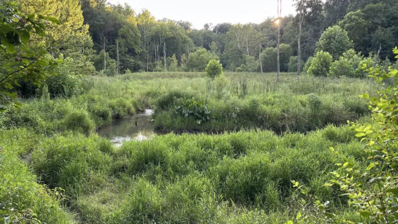 Leonard Springs Nature Park Rest Area - Bloomington, IN