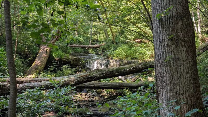 Leonard Springs Nature Park - Bloomington, IN