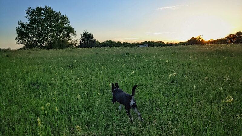 Bloomington Off-leash Dog Park - Bloomington, MN