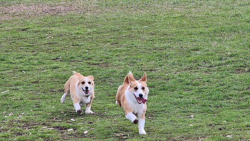 Bloomington Off-leash Dog Park - Bloomington, MN
