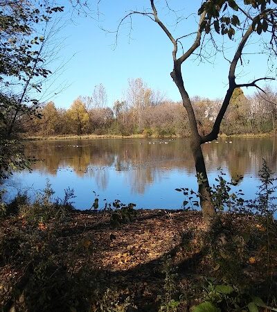 Bloomington Off-leash Dog Park - Bloomington, MN