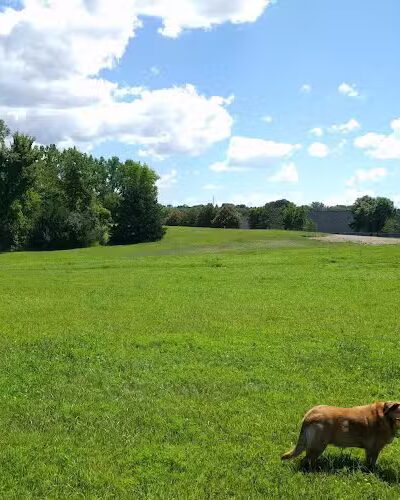Bloomington Off-leash Dog Park - Bloomington, MN