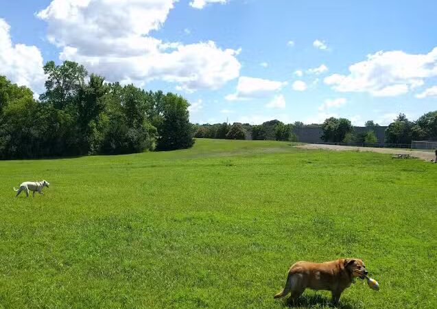 Bloomington Off-leash Dog Park - Bloomington, MN