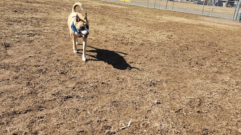 Bloomsburg Dog Park - Bloomsburg, PA