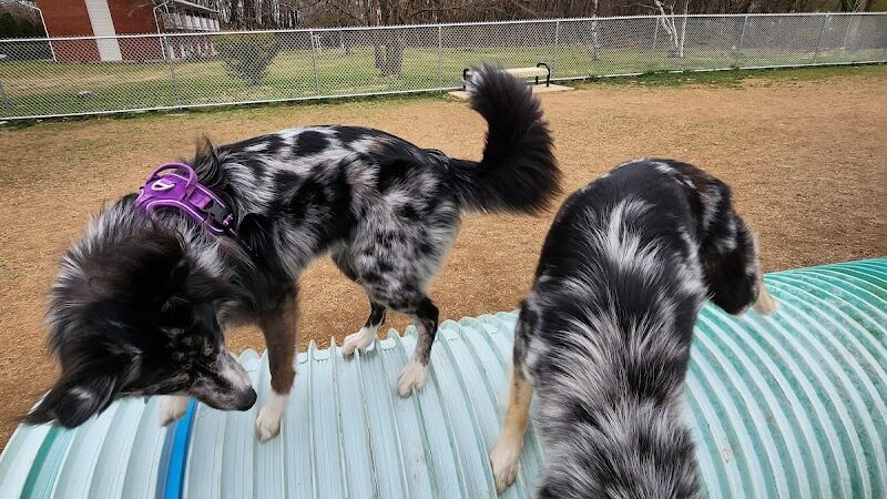 Bloomsburg Dog Park - Bloomsburg, PA