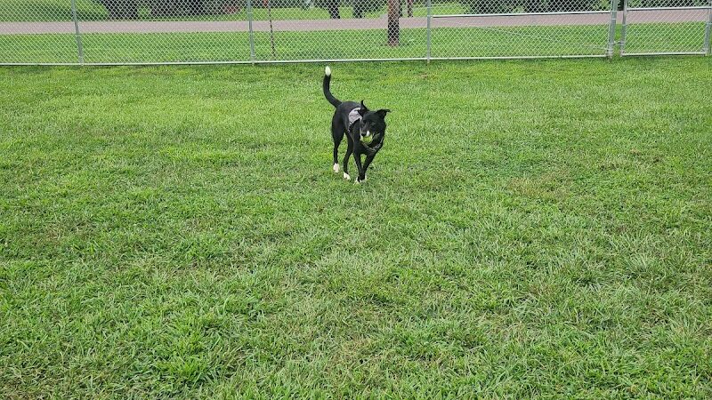 Bloomsburg Dog Park - Bloomsburg, PA