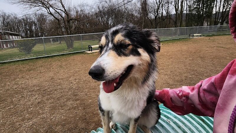 Bloomsburg Dog Park - Bloomsburg, PA