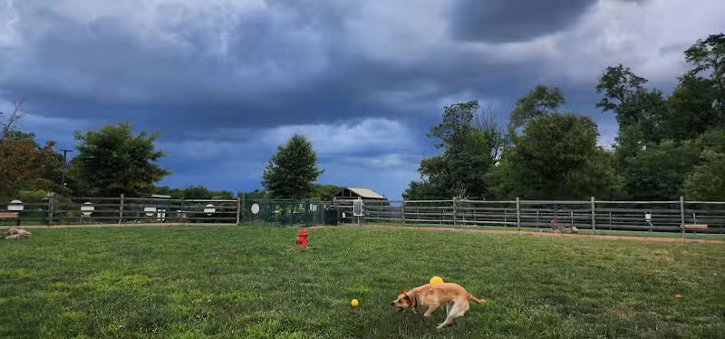 Whitpain Dog Park (member required) - Blue Bell, PA