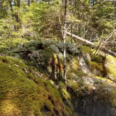 Penny's Preserve at Peters Brook - Blue Hill Heritage Trust - Blue Hill, ME