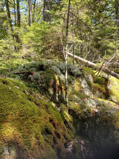 Penny's Preserve at Peters Brook - Blue Hill Heritage Trust - Blue Hill, ME
