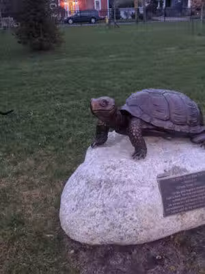 Blue Point Nature Preserve - Blue Point, NY