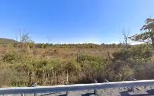 Happel's Meadow Wetland Preserve - Blue Ridge Summit, PA