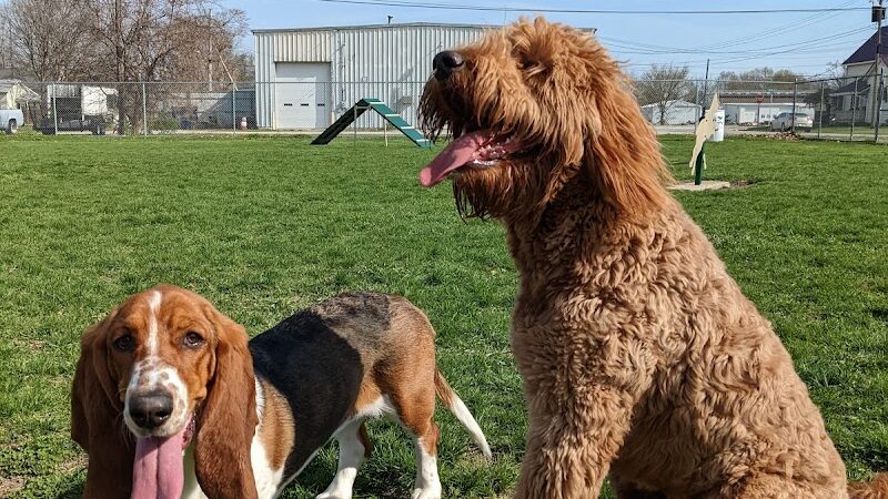 Bluffton K-9 Kommons Dog Park - Bluffton, IN