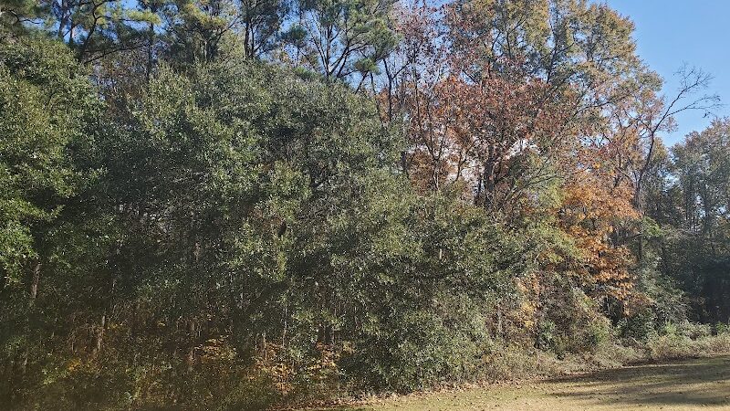 Blythewood Park - Blythewood, SC