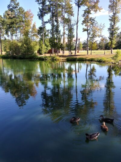 Doko Meadows Park - Blythewood, SC