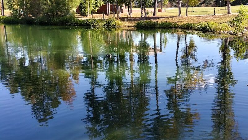 Doko Meadows Park - Blythewood, SC