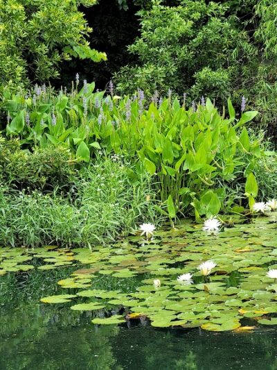 Doko Meadows Park - Blythewood, SC