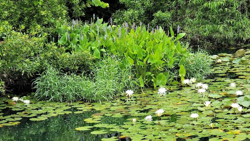 Doko Meadows Park - Blythewood, SC