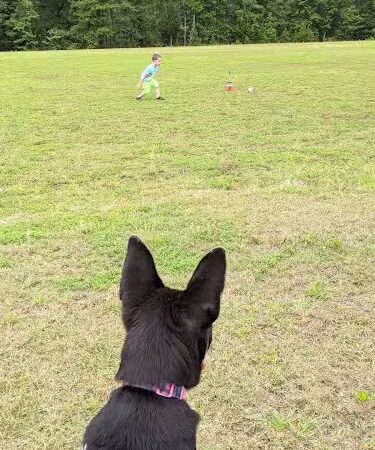 Doko Meadows Park - Blythewood, SC