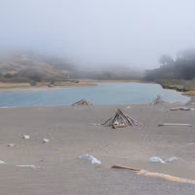 Sonoma Coast State Park - Bodega Bay, CA