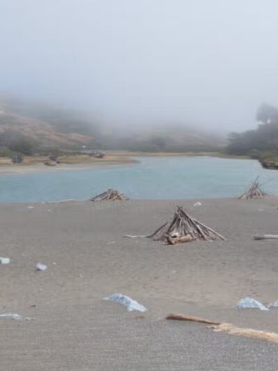 Sonoma Coast State Park - Bodega Bay, CA