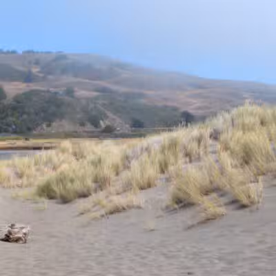Sonoma Coast State Park - Bodega Bay, CA