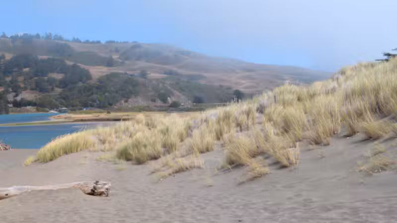 Sonoma Coast State Park - Bodega Bay, CA