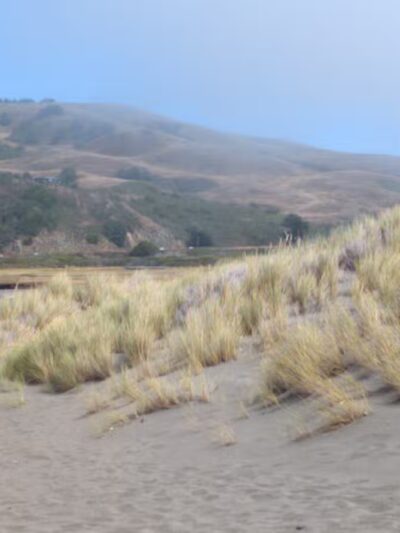 Sonoma Coast State Park - Bodega Bay, CA