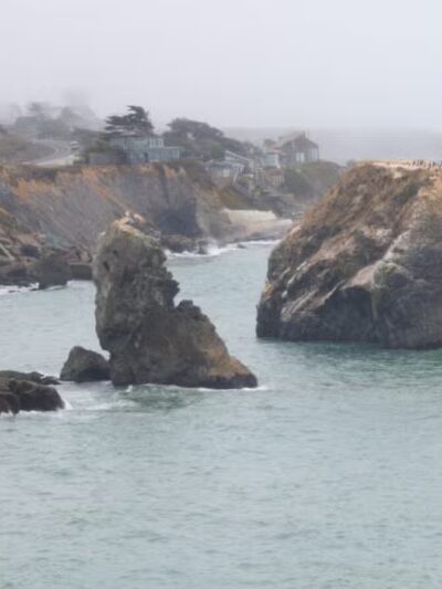 Sonoma Coast State Park - Bodega Bay, CA