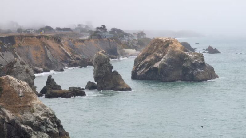 Sonoma Coast State Park - Bodega Bay, CA