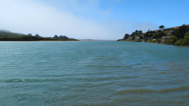 Sonoma Coast State Park - Bodega Bay, CA