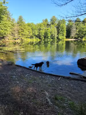 Bowers Springs Parking Lot - Bolton, MA