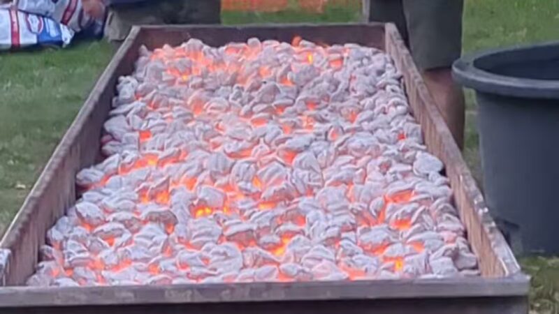 Village Park - Bonduel, WI