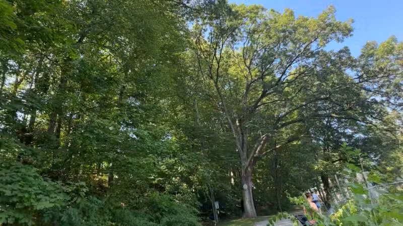 Grace Lord Park - Boonton, NJ