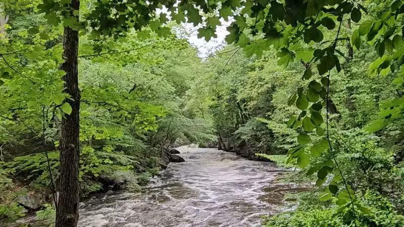 Grace Lord Park - Boonton, NJ