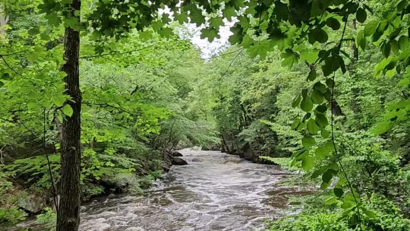 Grace Lord Park - Boonton, NJ